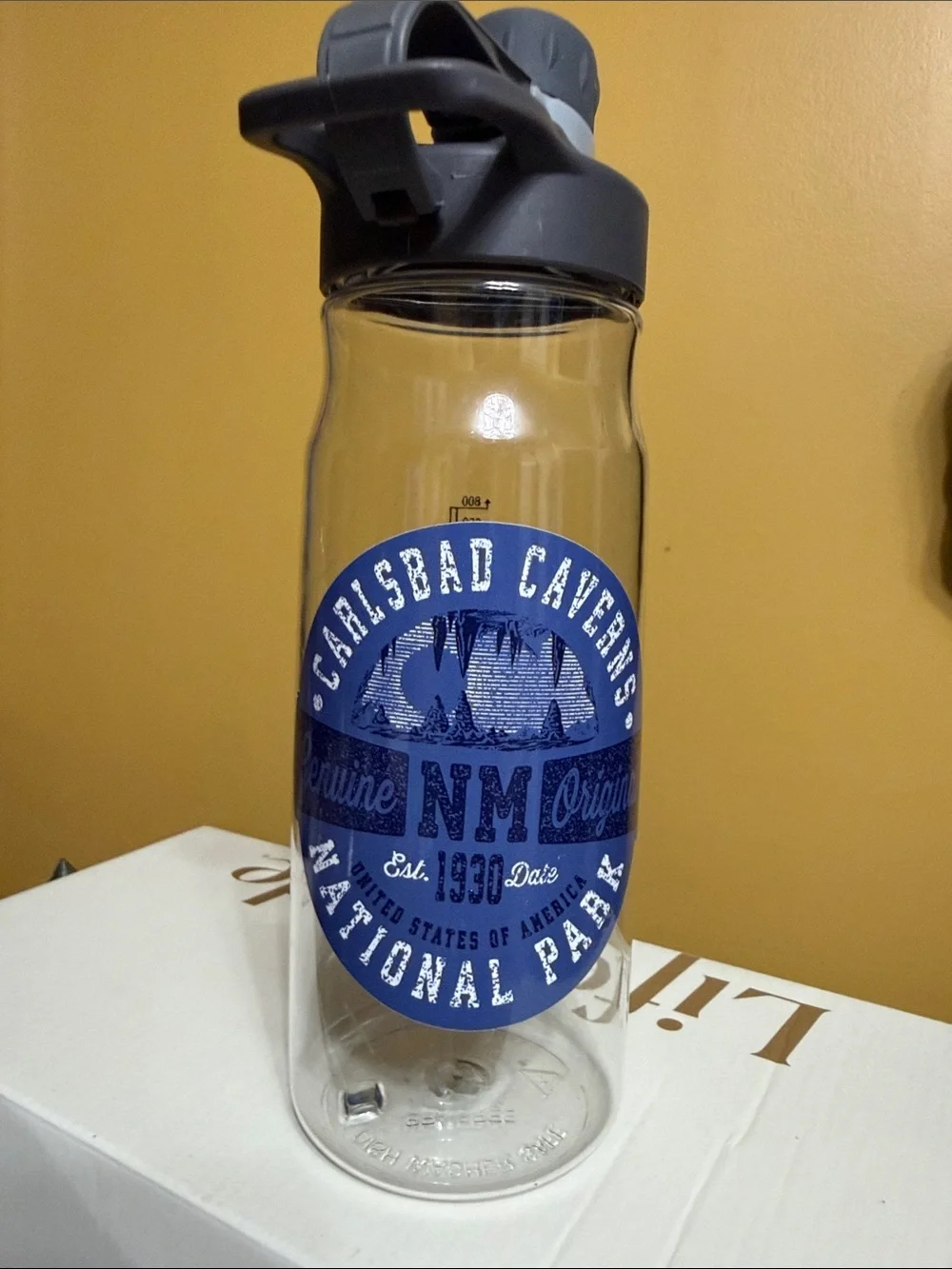 Source Unknown Blue and White Carlsbad Caverns NM National Park Water Bottle